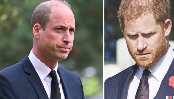 Prince Harry wants apology for ‘childhood trauma’ from Prince William’s ‘five sausages’