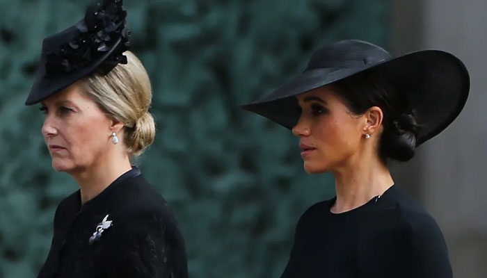 Sophie Wessex was quite surprised when Meghan Markle snubbed her