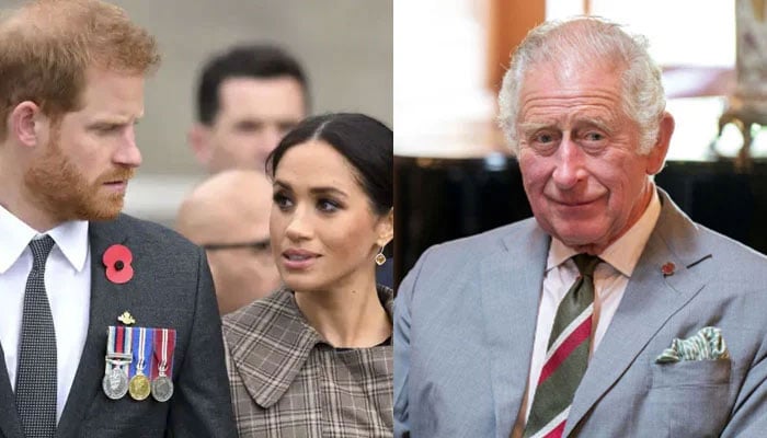 King Charles receives praises for handling Meghan, Harry ‘attacks' with ...