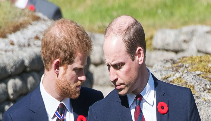 Prince Harry shocked after William screamed and shouted over Megxit
