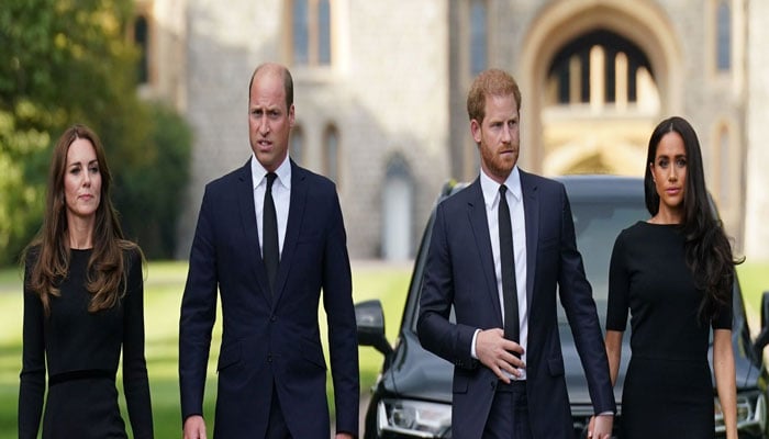 Prince William, Prince Harry cannot fix fight as wives dont see eye to eye