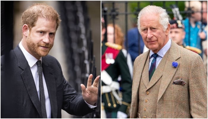 Prince Harry branded a ‘disloyal ditcher to King Charles