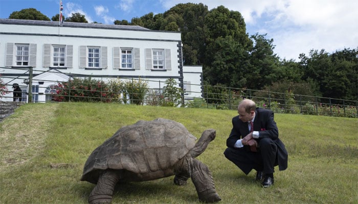 Prince Edward visits South Africa, meets 192-year-old tortoise in St Helena