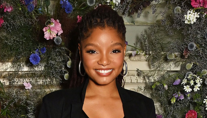 Halle Bailey firmly slams fans’ accusation of hiding pregnancy