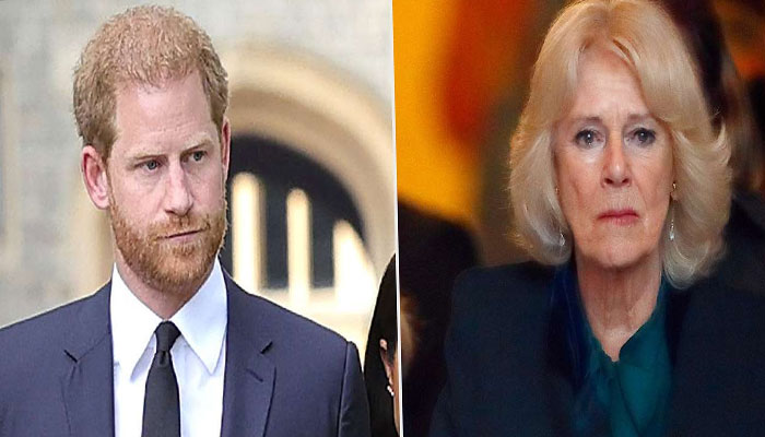 Queen Camilla uses her dignity to combat Prince Harry attacks