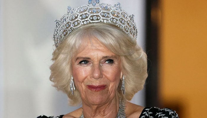 Queen Camilla branded national treasure after years of hatred