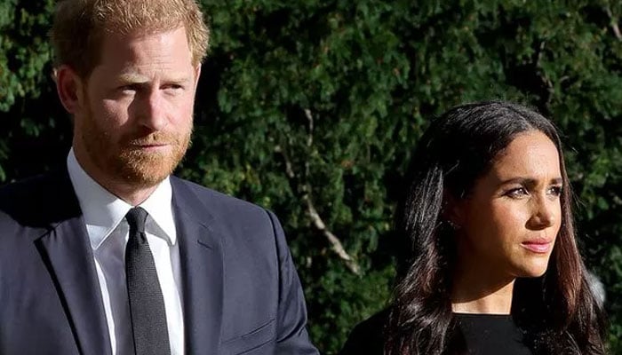 Meghan Markle, Prince Harry worried about future: What if money runs out