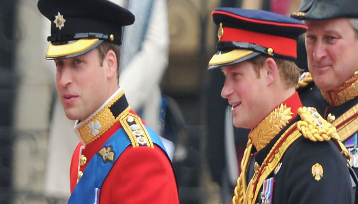 Prince William busy in other matters as Prince Harry arrives in UK