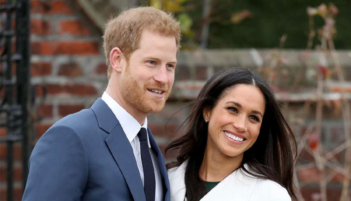 Prince Harry not as smart as ‘Princess of BLM’ Meghan Markle: ‘But he likes fame’