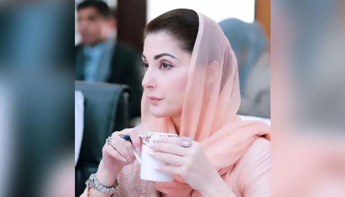 PML-Ns Punjab CM nominee Maryam Nawaz. — Instagram/@maryamnawazofficial