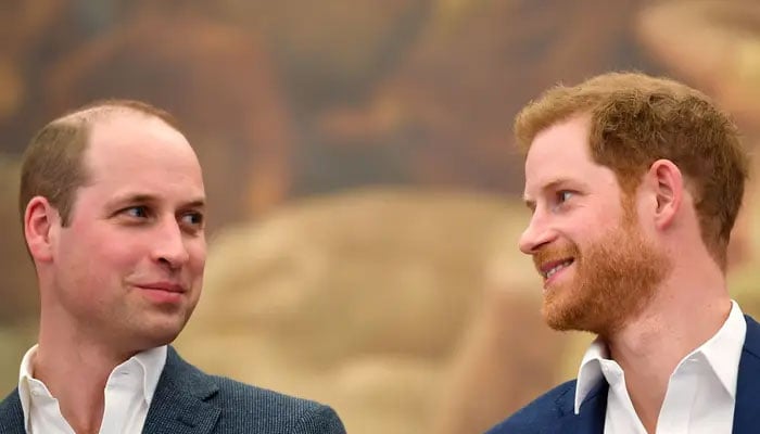 Prince Harry cannot re-renter as William is simmering with rage