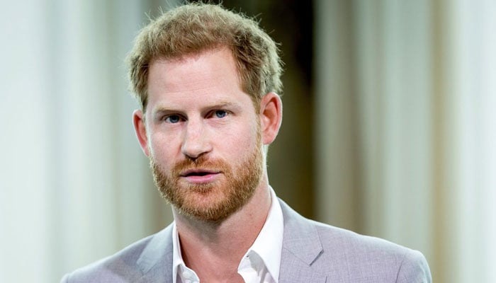 Prince Harry seeks ‘permanent part-time working’ royal status