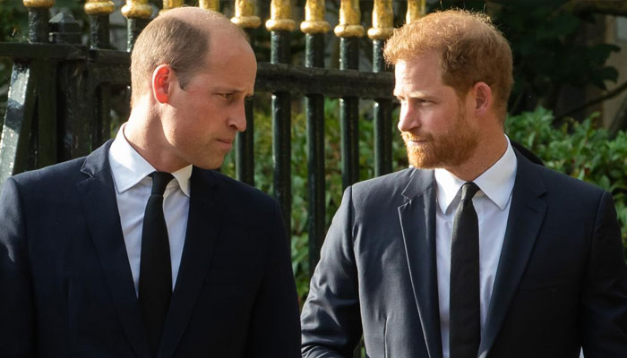 Prince Harry war with Prince William would take years to end
