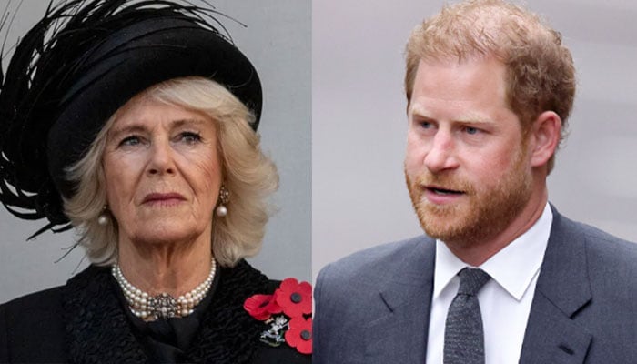 ‘Outraged’ Queen Camilla lashed out at Harry for coming to UK with ‘an attitude’