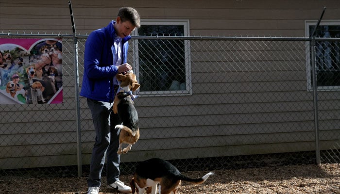 US Attorney for the Western District of Virginia, Christopher R. Kavanaugh, gives a gift to his eager dog, Doug, during a reunion of beagles from Envigo, at the Charlottesville Albemarle SPCA in Charlottesville, Virginia , US February 11, 2023. —Reuters