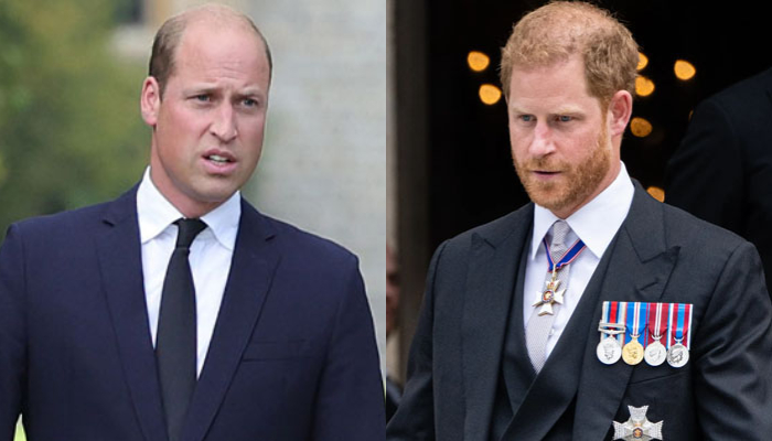 Prince William is opposed to letting his glamorous brother Prince Harry return to the Firm