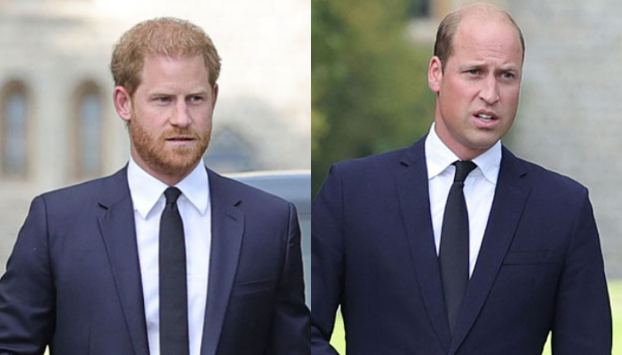 Prince Harrys attempts to reconcile with the Firm are being blocked by Prince William