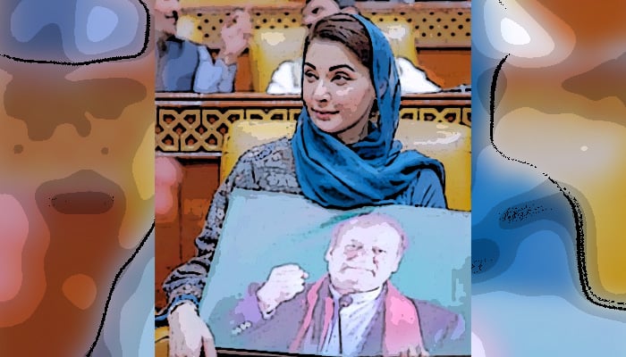 Maryam Nawaz attends a Punjab Assembly session in this illustration. — Geo.tv