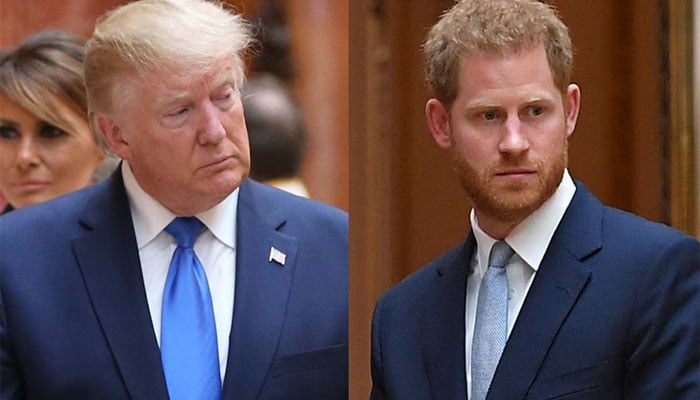 Royal expert reacts to Donald Trumps remarks about Prince Harry