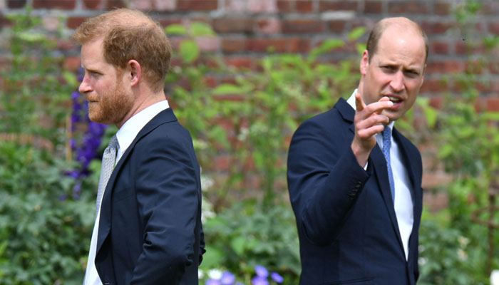 Prince Harry may have tried to return to royal duties, but Prince William isnt too keen on his return