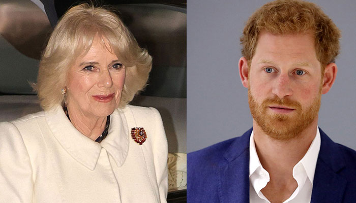 Queen Camilla son spoke about hangover at Prince Harry wedding