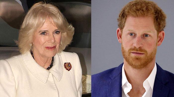 Queen Camilla son spoke about 'hangover' at Prince Harry wedding