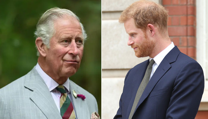 Prince Harry accused of ‘trying too hard’ to associate with King Charles
