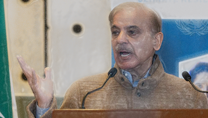 Prime Minister Shehbaz Sharif can be seen addressing an event in this illustration. — Geo.tv