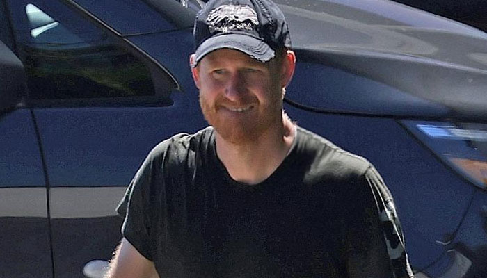 Prince Harry receives another stark warning over hugely foolish mistake