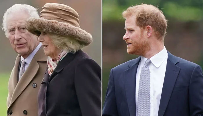 King Charles gives public a blunt reaction to Prince Harry questions: Who?