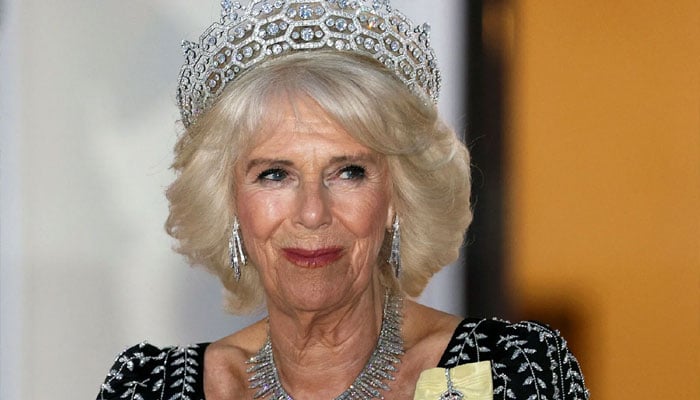 Queen Camilla working overtime to support ‘monarchy’ amid Charles’ illness