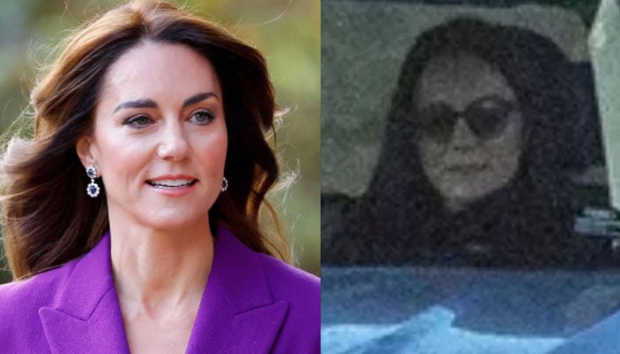 Kate Middleton's photo was released on purpose by Palace?