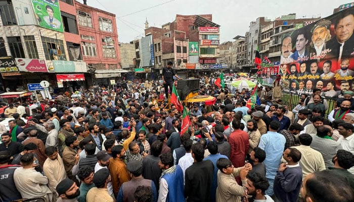 PTI supporters hold protest in Faisalabad against alleged rigging in February 8 elections on March 10, 2024. — X@PTIofficial