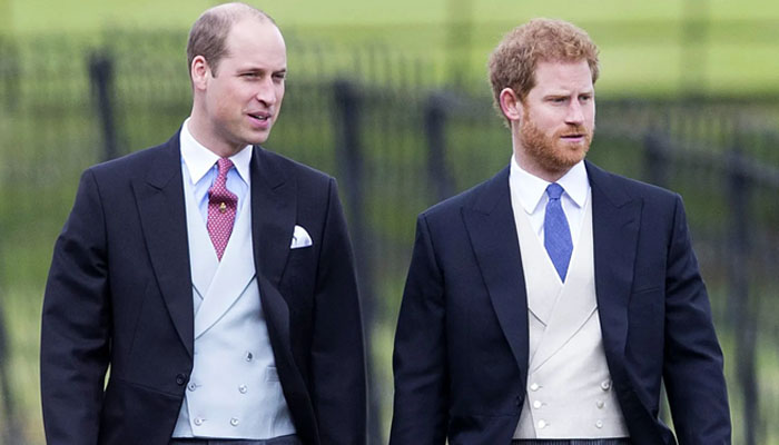 Reasons behind Prince Harry and Prince William’s feud have been explained