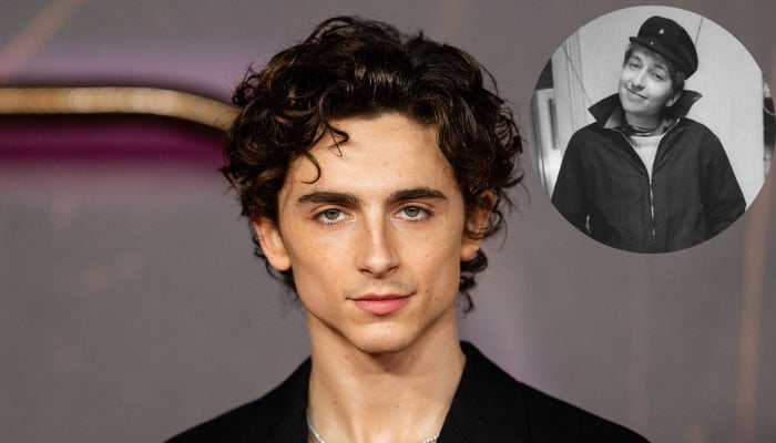 Timothée Chalamets Bob Dylan transformation leaves fans astounded