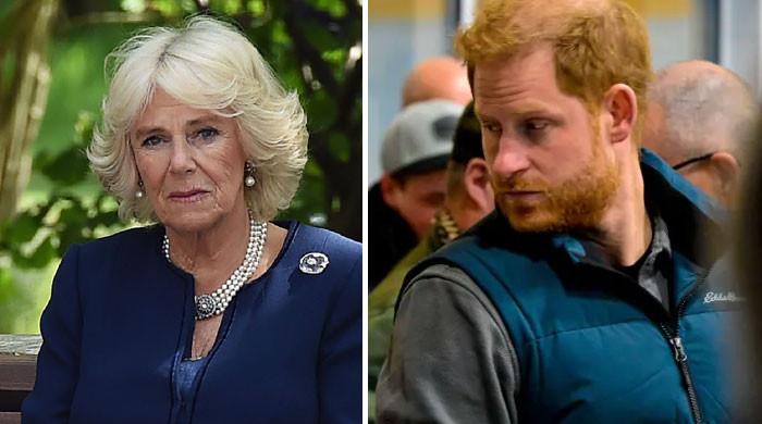 Prince Harry can’t handle Queen Camilla: ‘So much resentment lives here’