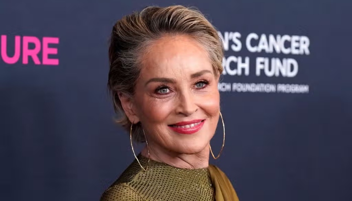 Photo: Sharon stone makes big statement about Johnny Depp amid abuse rumours