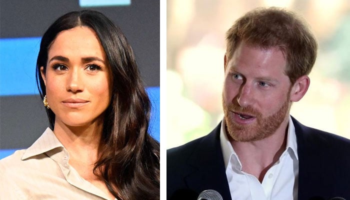 Meghan Markle branded beyond cruel and limelight driven
