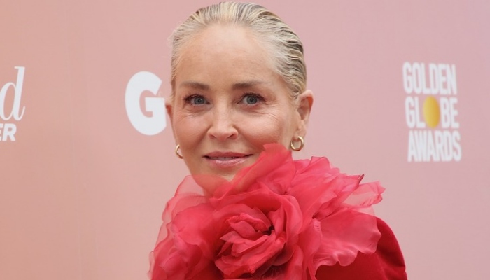 Photo: Sharon Stone is looking for a new romantic partner?