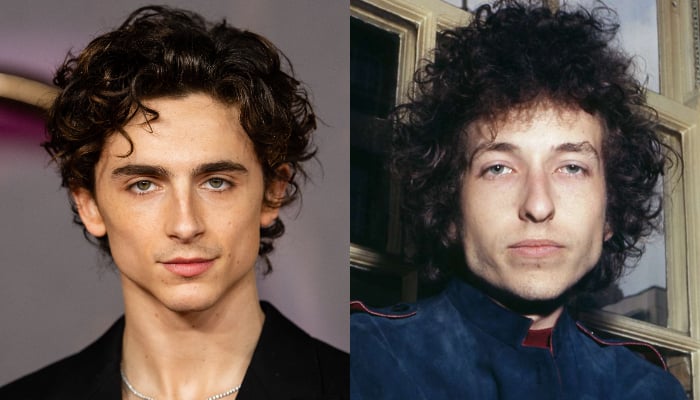 Timothee Chalamet completely transforms into Bob Dylan: See pic - Daily ...