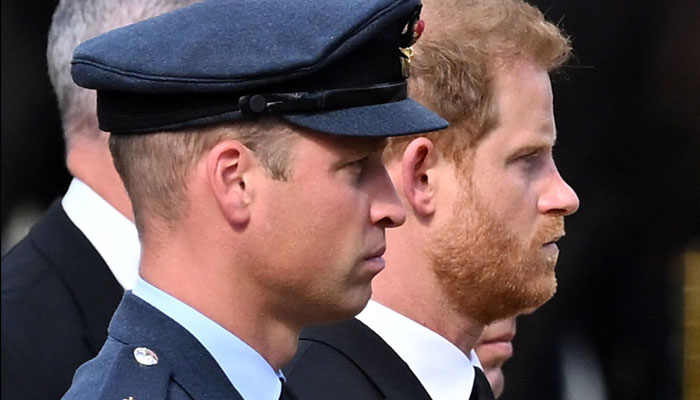 Prince Harry, Prince Williams rift chalked up to the woes of a mans love life