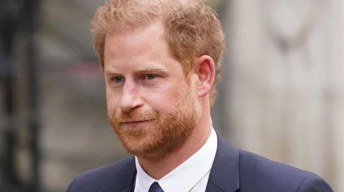 Prince Harry in ‘permanent state of paranoia’ about Royal Family’s plans