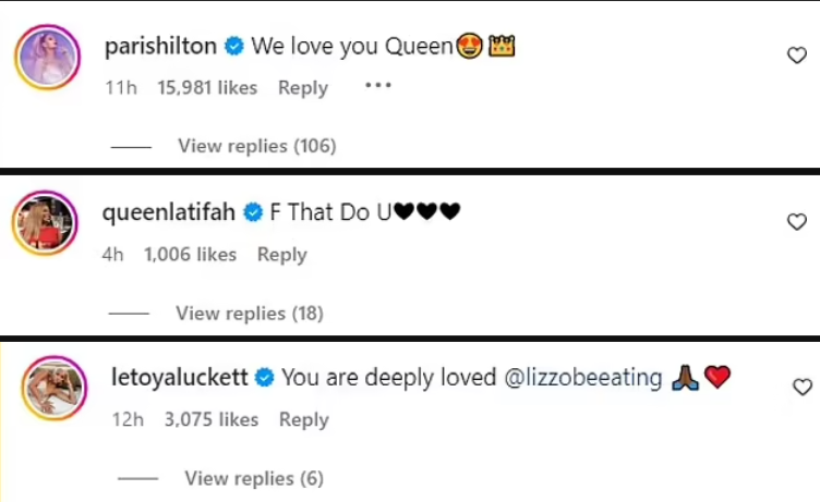 Lizzo showered with support from Paris Hilton, Queen Latifa, more after she ‘quit industry