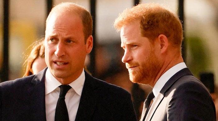 Prince Harry upset as Prince William realises Camilla is not ‘monster’