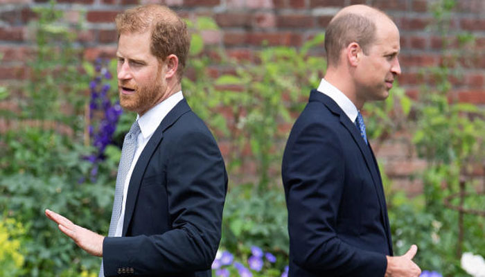 Prince William ‘committed’ to protect monarchy from Prince Harry