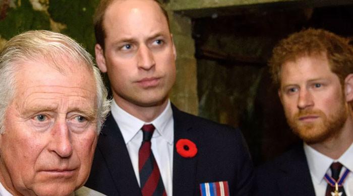 Prince William urges King Charles to not trust 'greedy fame seeker' Harry:  Insider