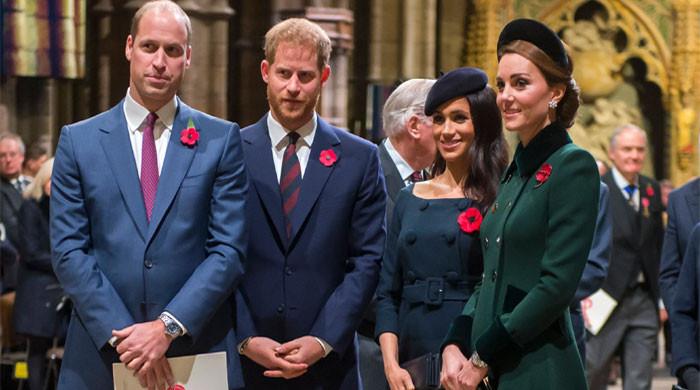 Meghan Markle snubs Kate Middleton, Prince William’s olive branch: real reason disclosed