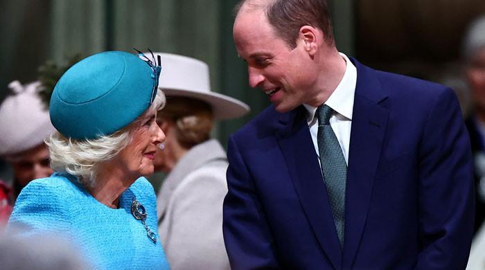 Prince William warming up to ‘mummy’ Camilla in ‘blended’ avatar