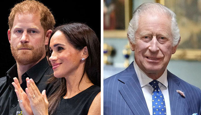 Prince Harry knows Royals will ‘look down on Meghan new brand