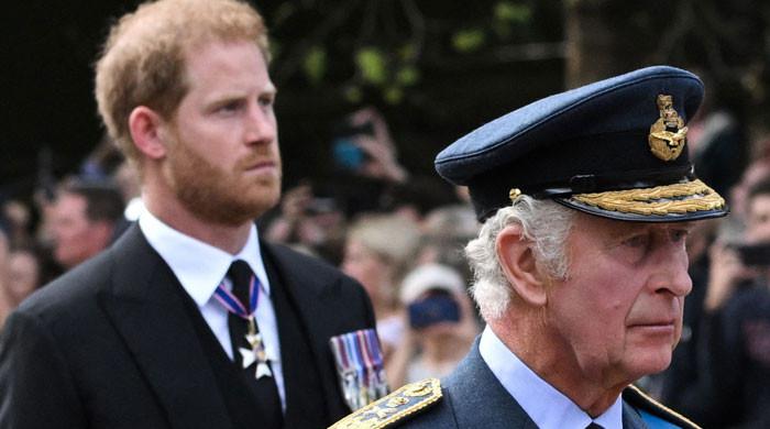 Prince Harry unable to spend more time with King Charles due to security threat in UK